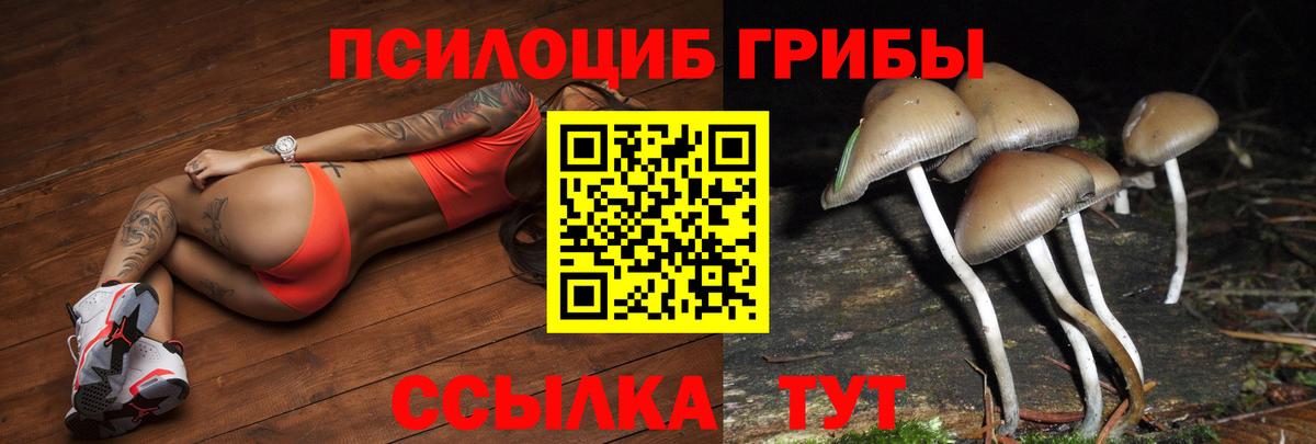 Нижнекамск  Галлюциногенные грибы Magic Shrooms  Вход с VPN  где найти   Галлюциногенные грибы мухоморы 